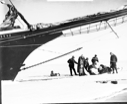Image of Loading sledge under Morrissey's bow
